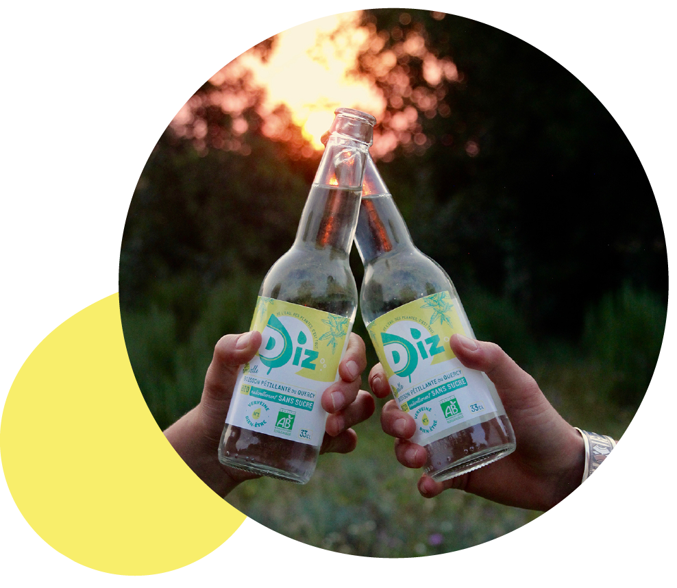 Boisson Diz au format 33 cl